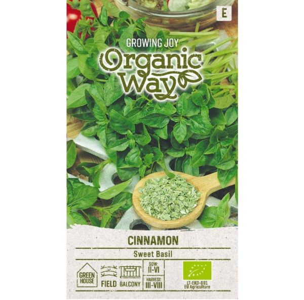 Kanelibasilika Kanelibasilika